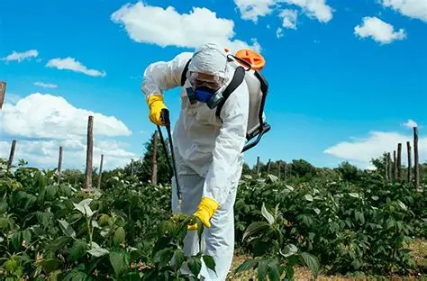 Agricultura e Fazenda